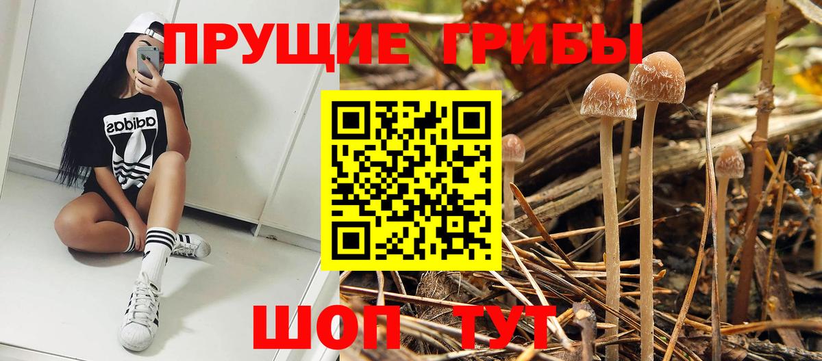 как найти закладки  Вход с VPN  Шахты  Псилоцибиновые грибы ЛСД 