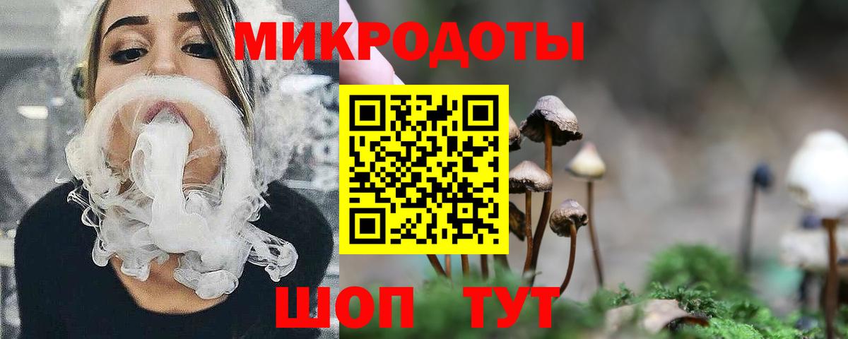 Псилоцибиновые грибы GOLDEN TEACHER Шахты